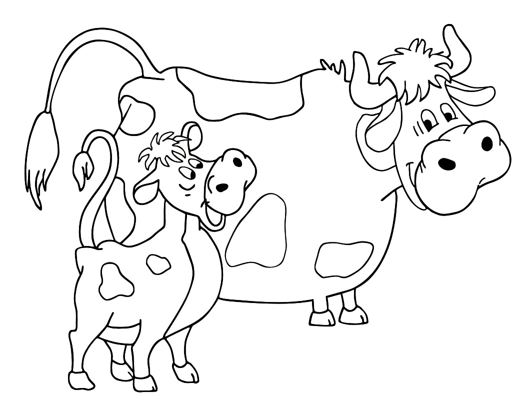 planse desene de colorat vaca vitel taur bou